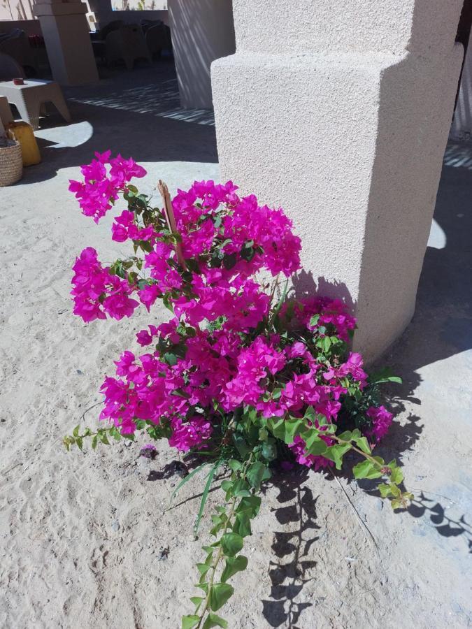 Hayaat Siwa Hot Spring Hotel Siwa Oasis Екстериор снимка